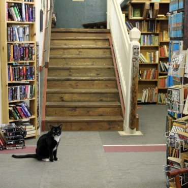 Buchladen mit schöner Holztreppe im Hintergrund, am Fuß der Treppe sitzt eine kleine schwarze Katze